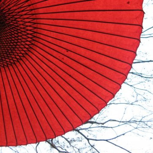 882c3848c7db1d68fd2e6848b1e3578c39c0a18e