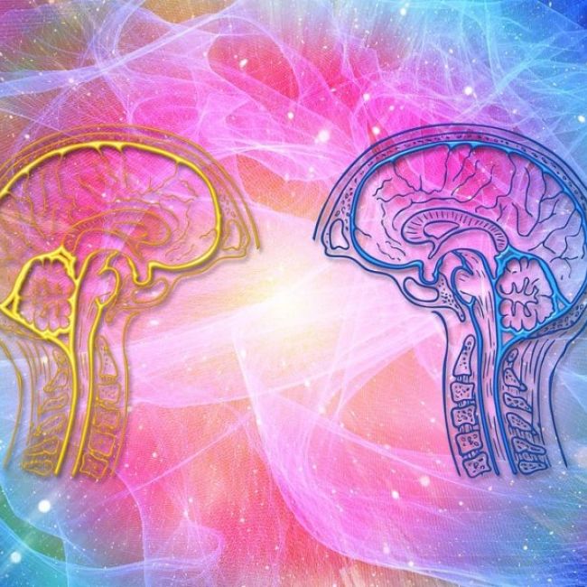 Psicología y psicoterapia